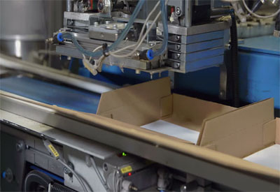 Automation at the End of the Production Line: Packaging and Palletizing