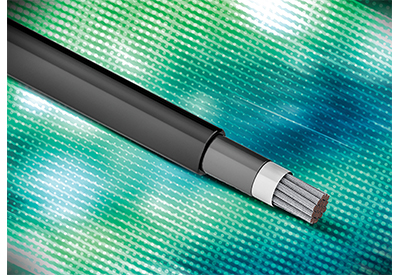 Cut-to-Length Heavy Duty DLO Power Cable from AutomationDirect